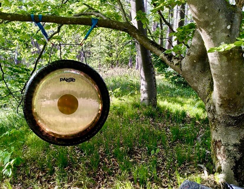 Workshop Yoga & Gongreise